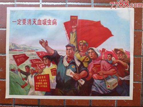 大阪音楽大学商业管理文凭证书